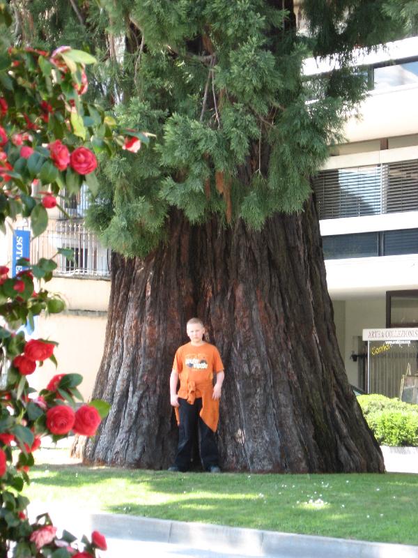 IMG_0412 Lugano Promenade