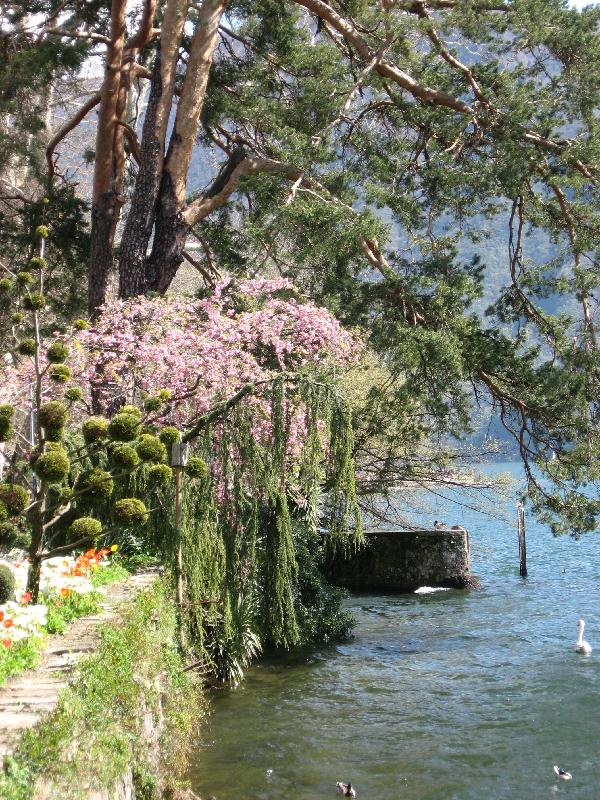 IMG_0445 Lugano Park Ciani