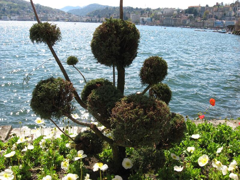 IMG_0446 Lugano Park Ciani