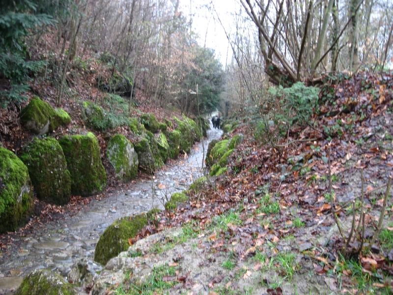 IMG_0669 Hohle Gasse