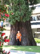 IMG_0412 Lugano Promenade