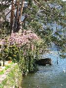 IMG_0445 Lugano Park Ciani