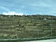 IMG_0498 Weinberge Rhonetal