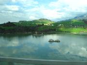 IMG_0636 Lac de Gryere