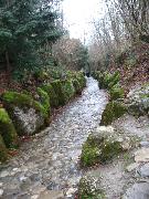 IMG_0668 Die Hohle Gasse