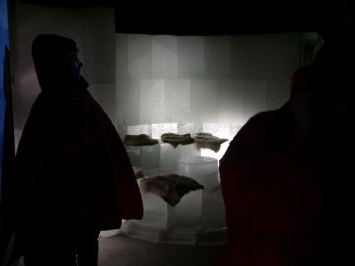 imgp2939 In der Artico-Eisbar