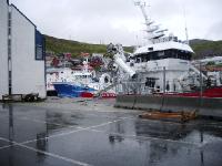 imgp2946 Hafen im Regen