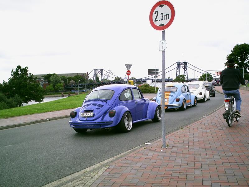 Image_22 T1 Elefantenfuss