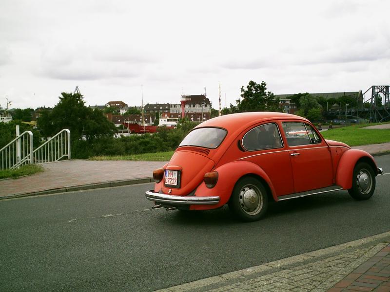 Image_26 T1 Elefantenfuss